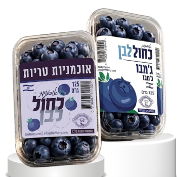 עיצוב ללא שם (1)